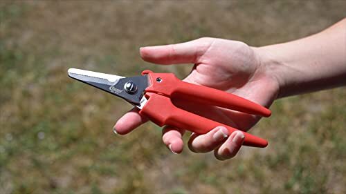 Clauss Spring-Action Stainless Steel Wire Cutters / Pruning Shears For