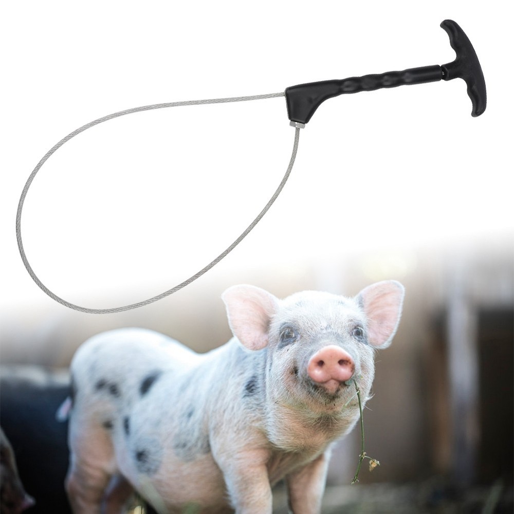 Durable Pig Holder for Livestock WT