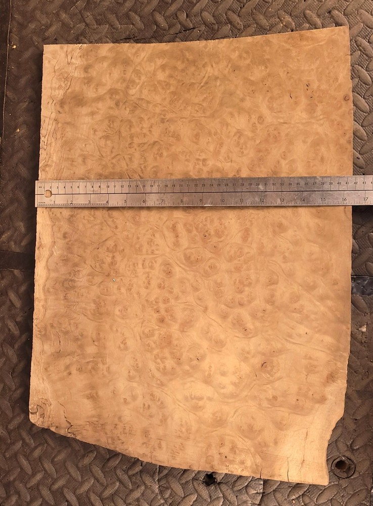 True Master Grade One Piece Maple Burl Thick Drop Top