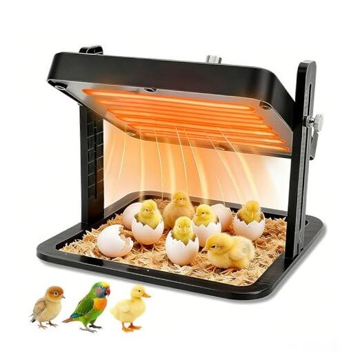 Brooder Heater for Chicks – 10.8" Radiant Heat Plate with Adjustable Height &