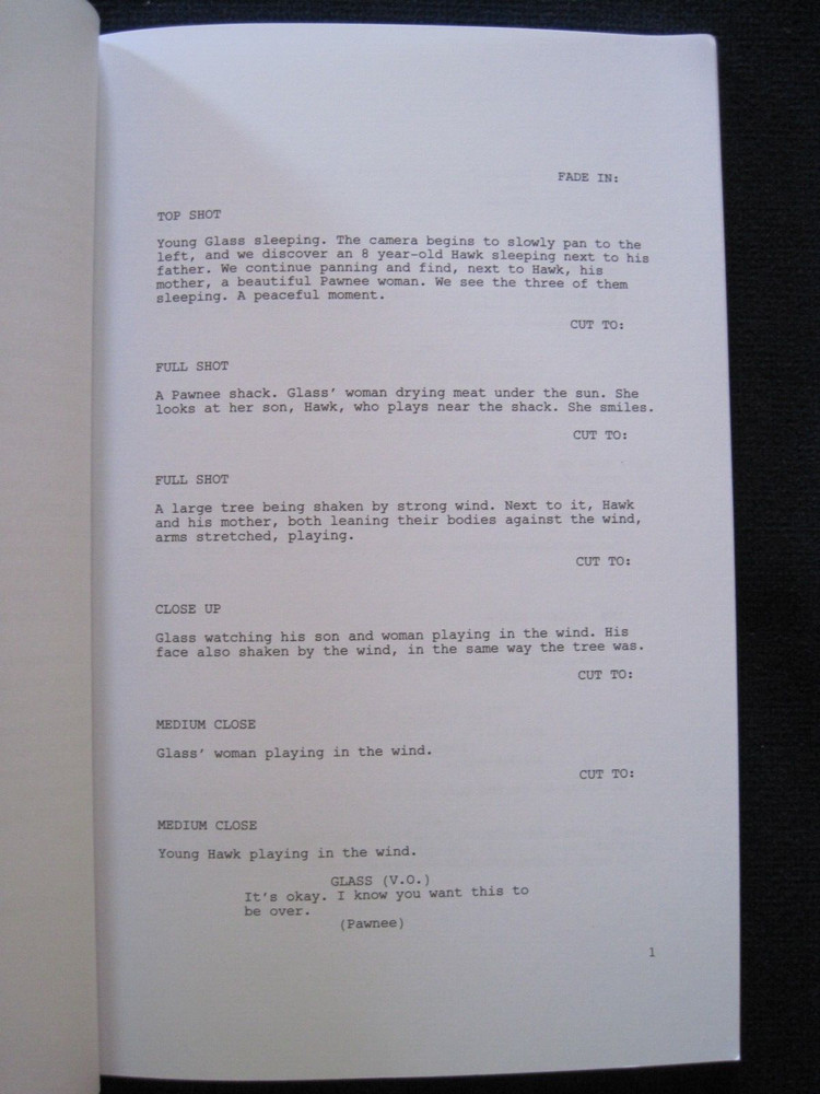 ORIGINAL SCRIPT - THE REVENANT, OSCAR CONSIDERATION, 1st Ed in Book Form