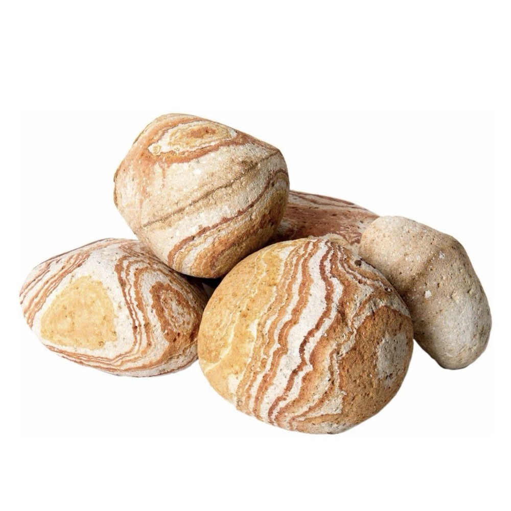 Galapagos Terrarium Starter Kit, Arid