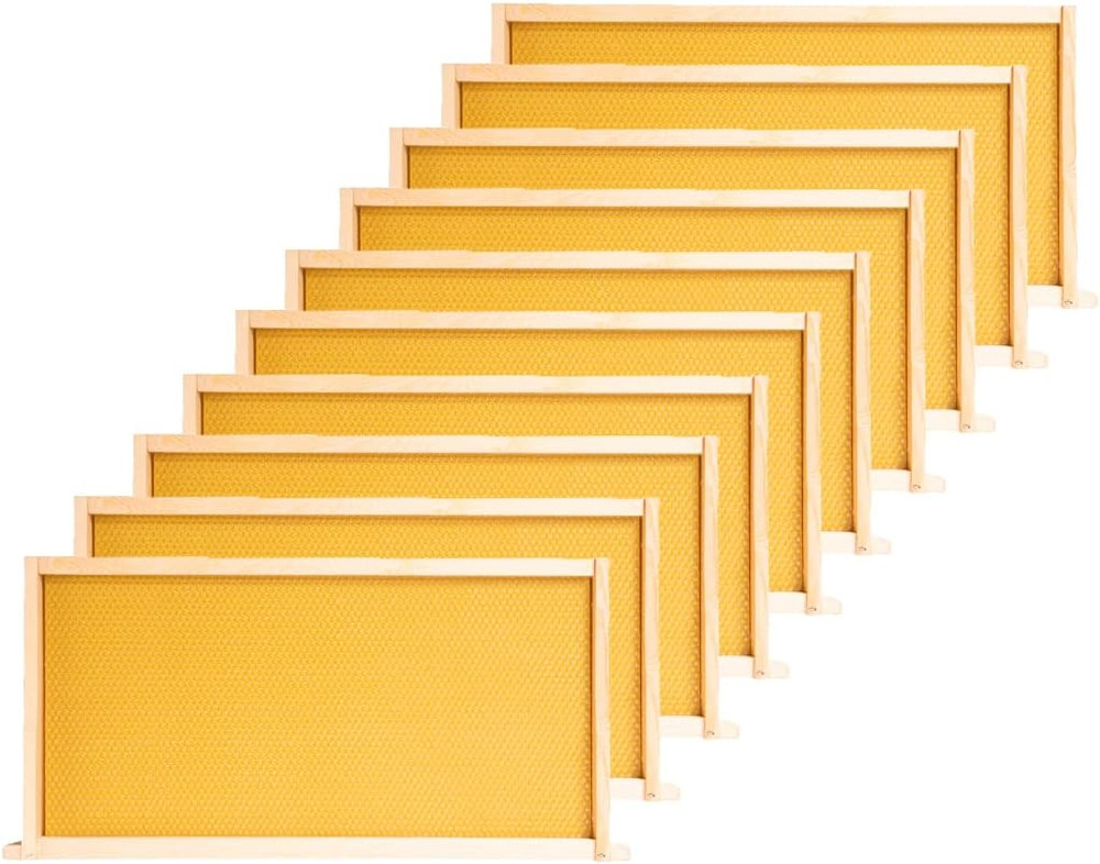 POLLIBEE Deep Brood Bee Hive Frames and Wax Foundations,10 Pack Honey Bee Frames