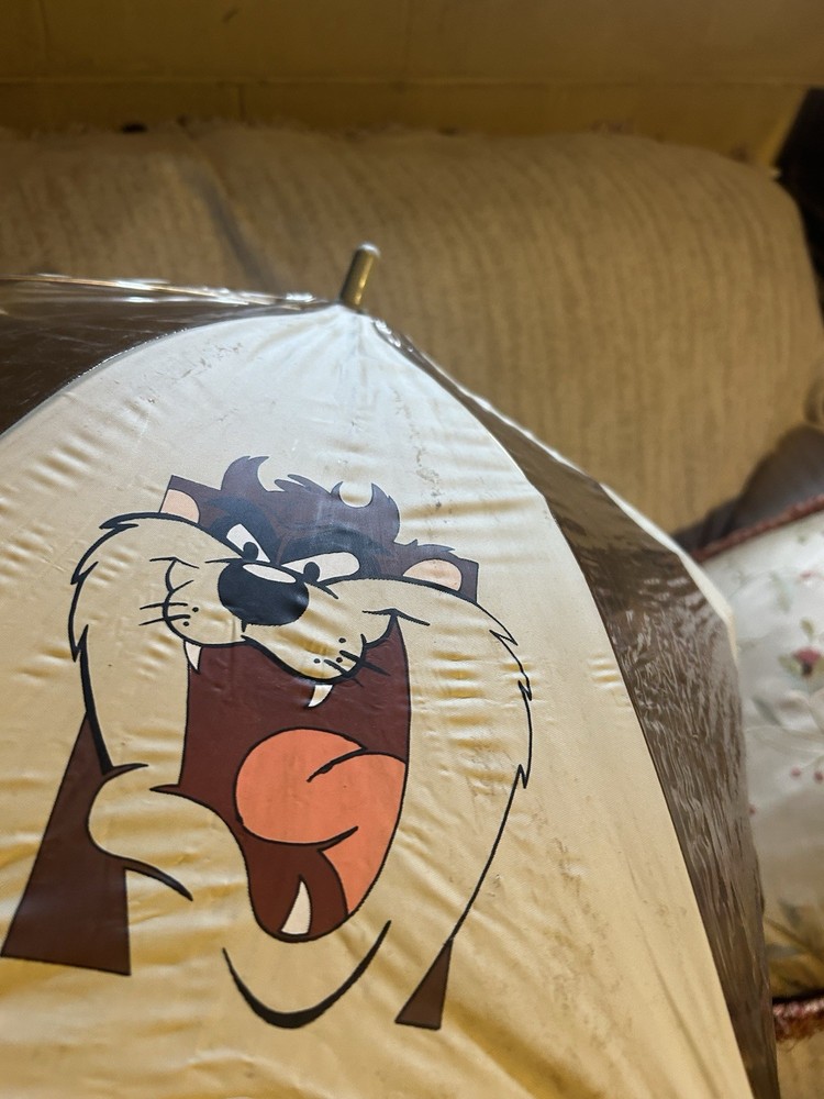 Looney Toones “Taz” Umbrella