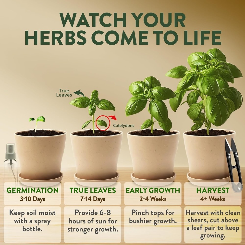 Beginner-Friendly Indoor Herb Starter Kit – Grow 4 Heirloom Plants Effortlessly