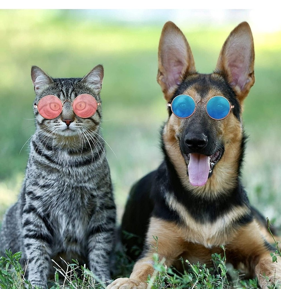 Cat Costume Sunglasses 15 Pair