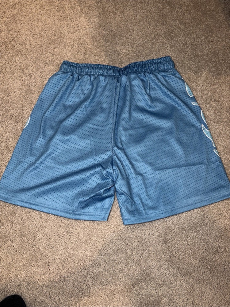 Mixed Emotion Blue Shorts