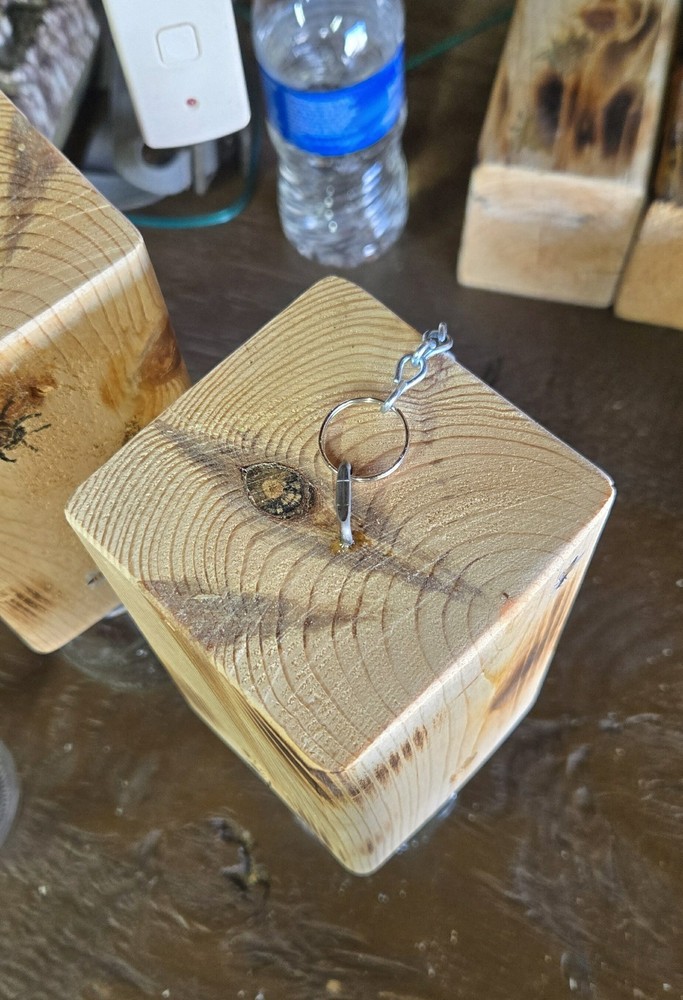 CARPENTER 'BORE' BEE TRAPS THAT WORK!