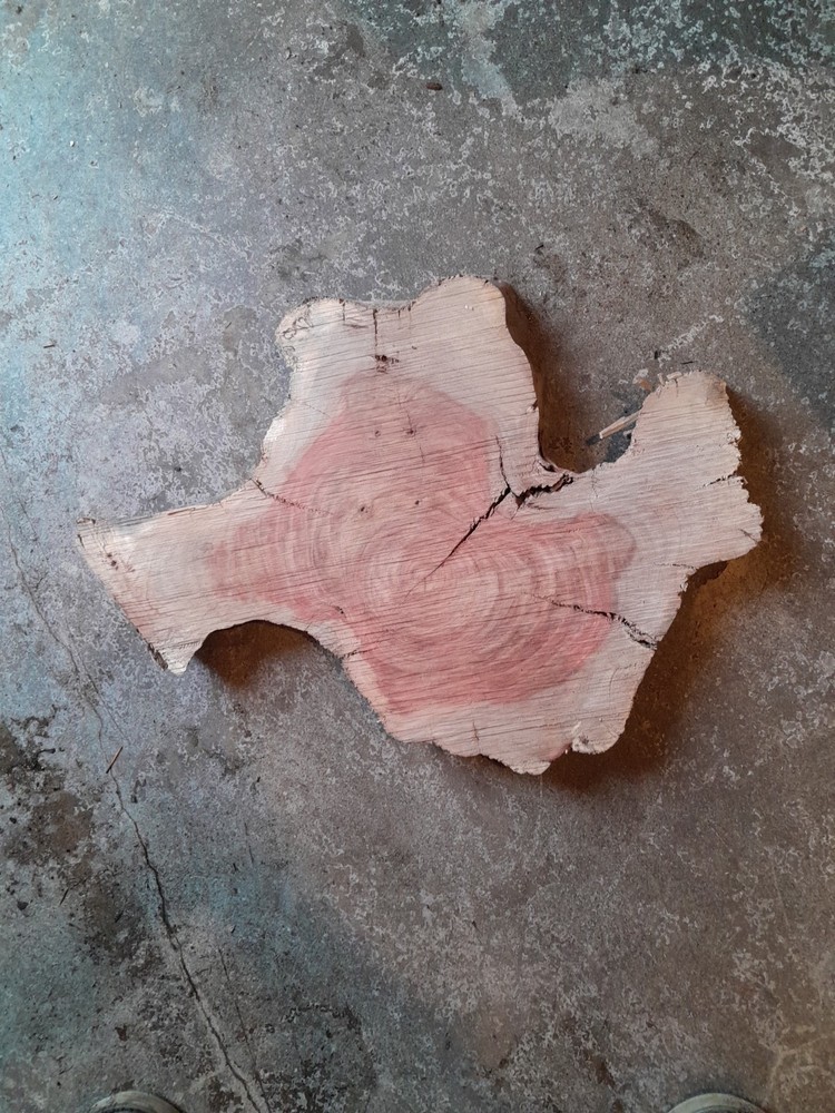 2 Inch Thick Carob Slab
