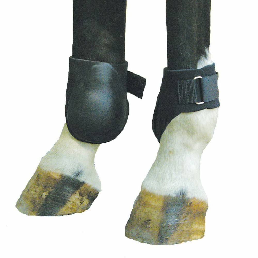 Intrepid Neoprene Ankle-Fetlock Boot
