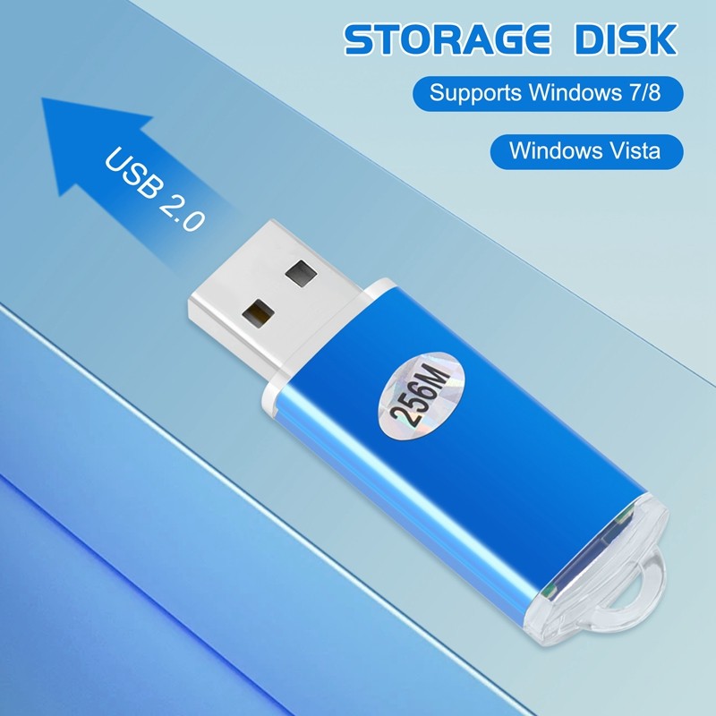 256 MB USB 2.0 Flash U disk T5J88099