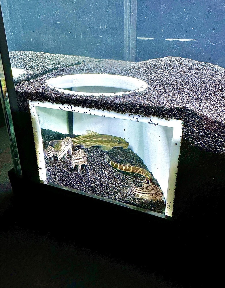 Aquarium Corner Hole Cave Underground Viewing Hide Fish Tank Decor Hide