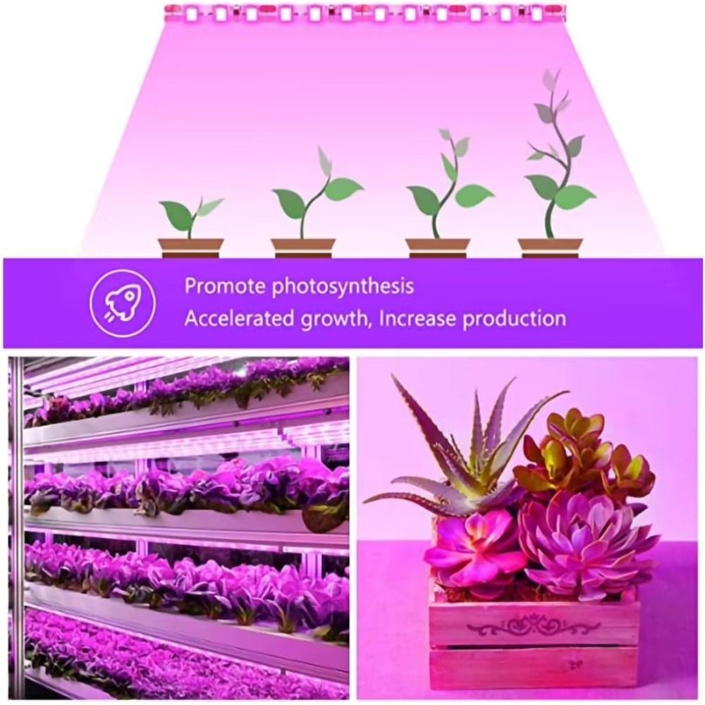 Multi Functional LED Ambient Plant Growth Light Plant Light Ramadan