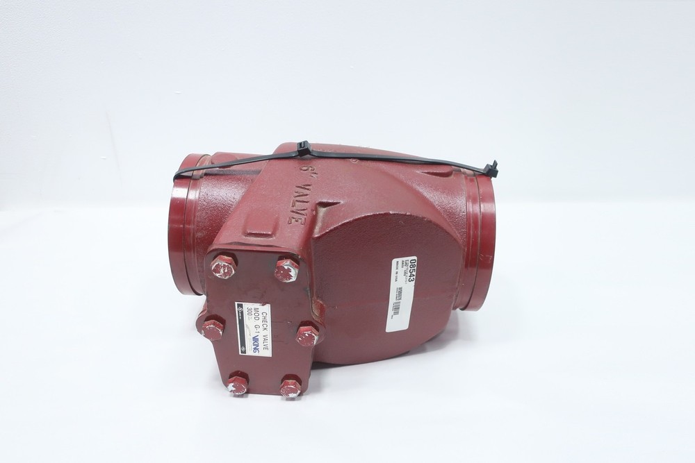 Viking G-1 Check Valve 6in