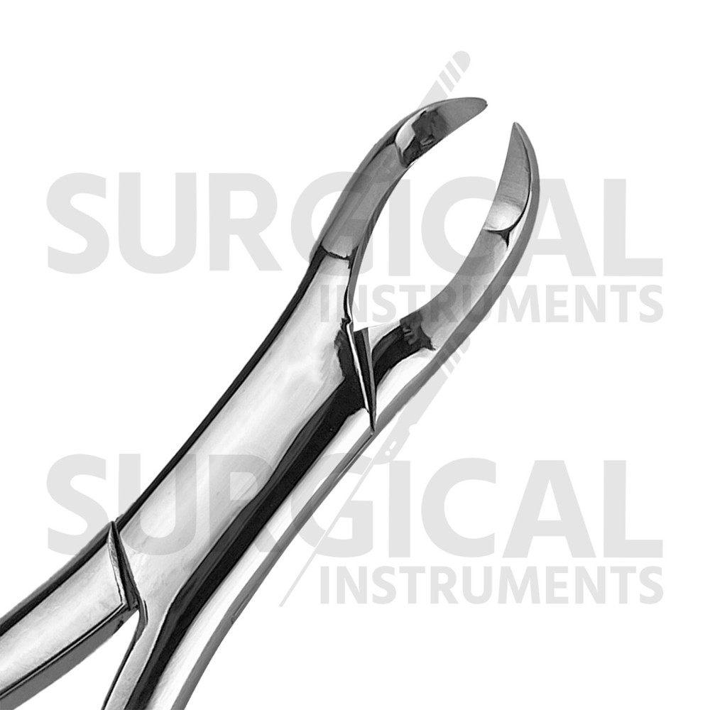 Extracting Forceps Dental Surgical Instruments #3FS German Grade