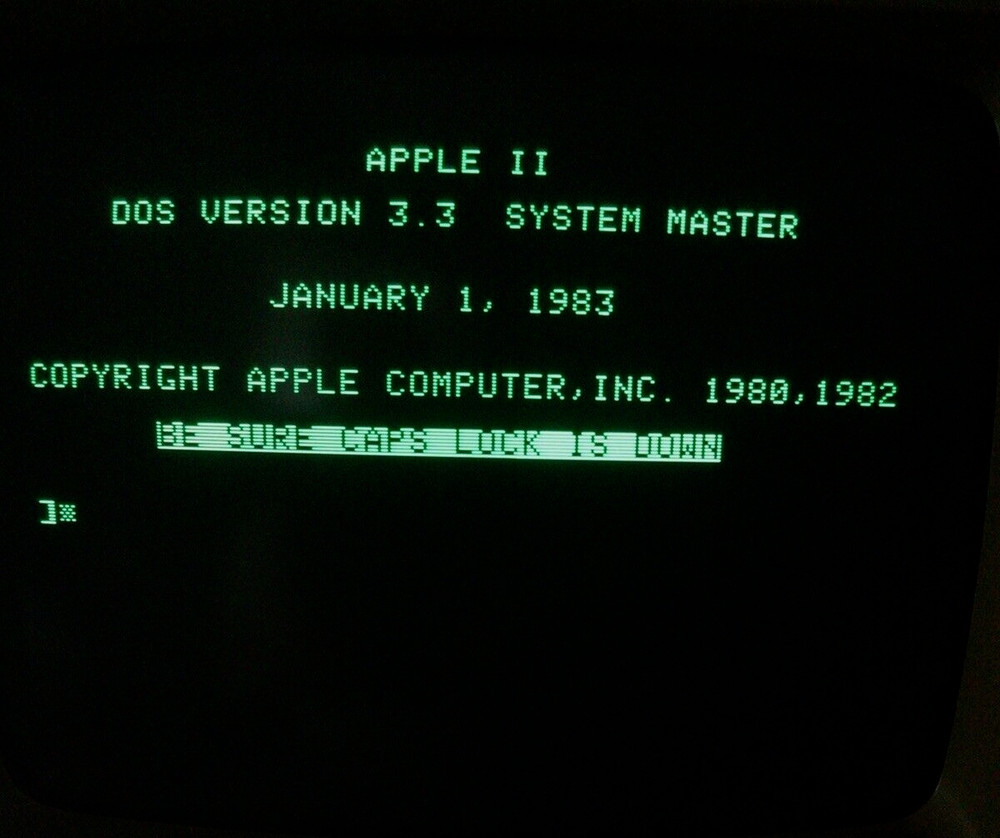 Apple II DOS 3.3 System Master 5.25” 2-in-1 Floppy Disk