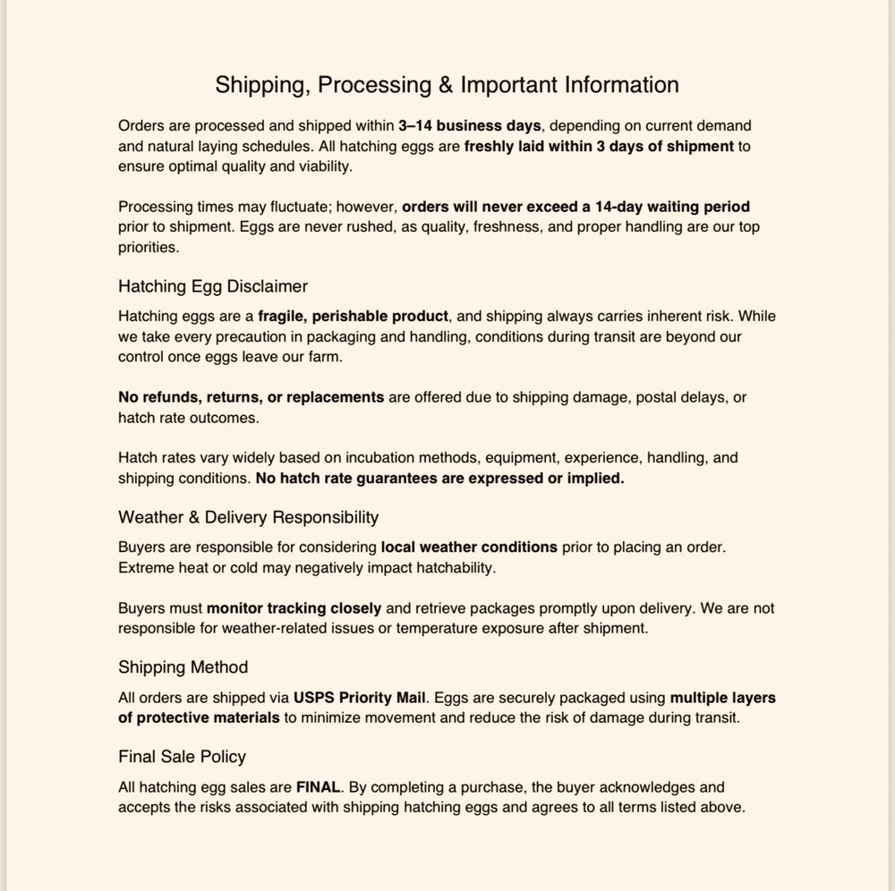 Olive Egger Hatching Eggs 1 dozen (12 + extra)