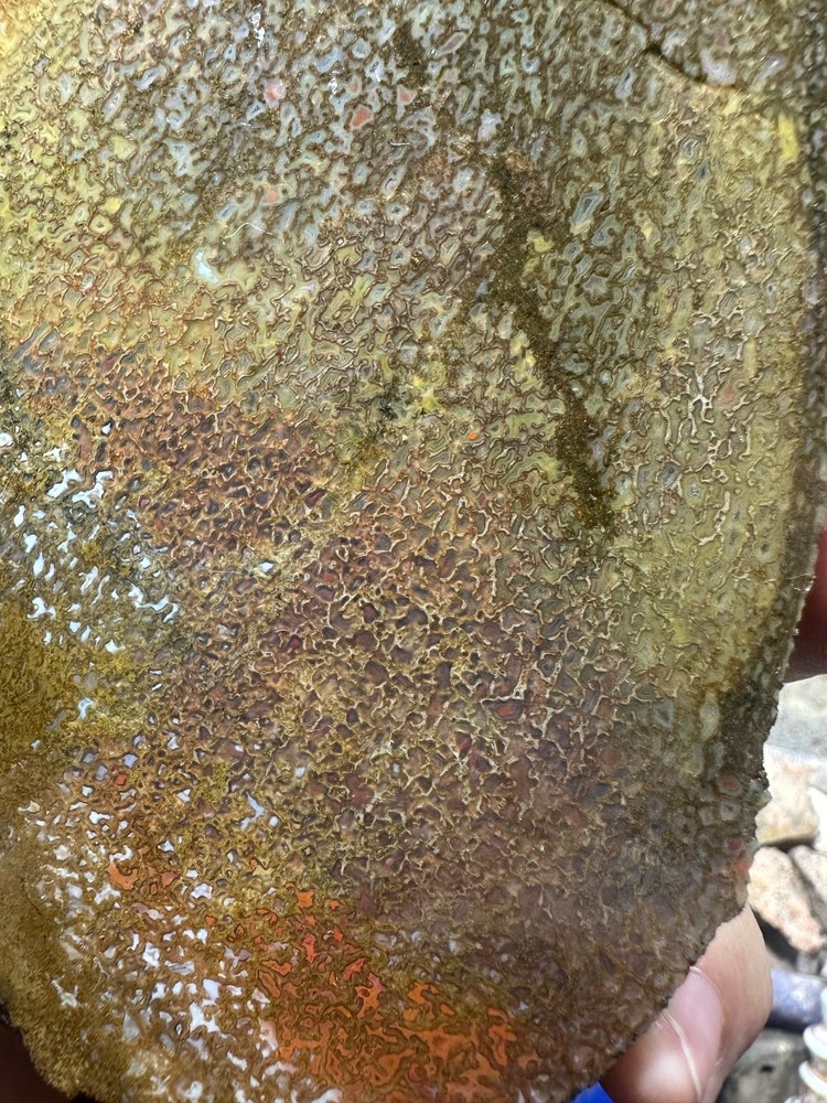 Dinosaur bone rough **hxtled slab.