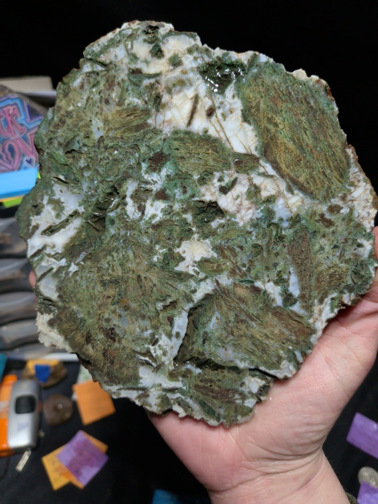 Hampton Butte Slab Specimen (1lb 8oz)