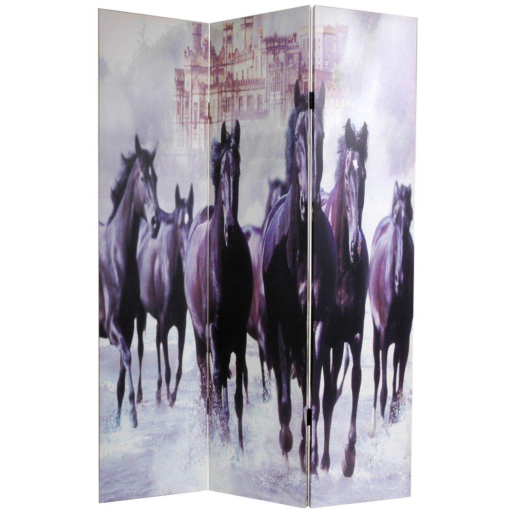 6 ft. Tall Double Sided Horses Canvas Room Divider