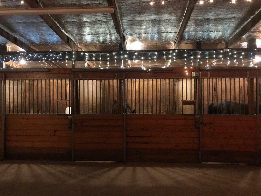 (3 PACK) Reflective Foil Insulation Roll Double Bubble USEP 48" X 4FT R8