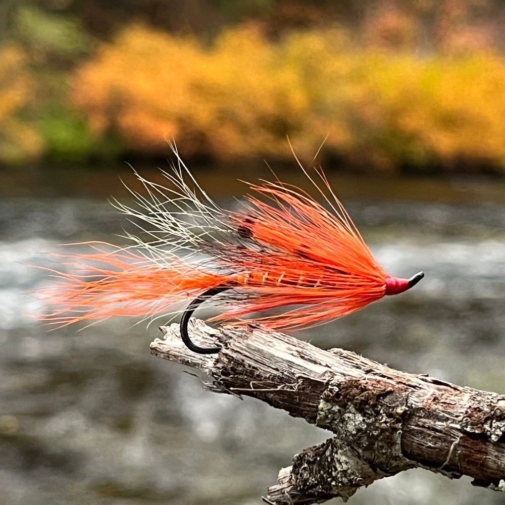 Ally's Shrimp Orange