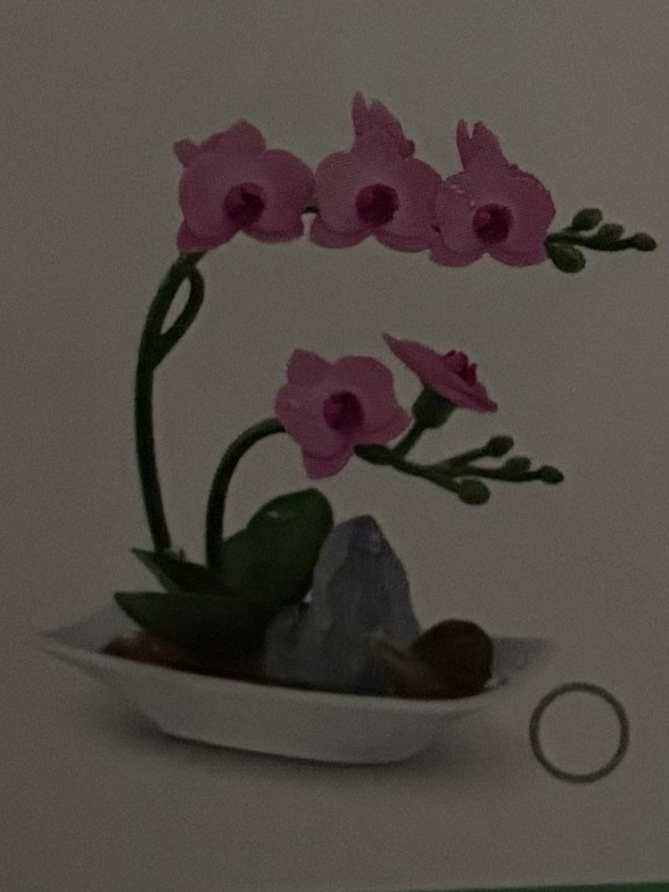 Mini Brands Create Garden