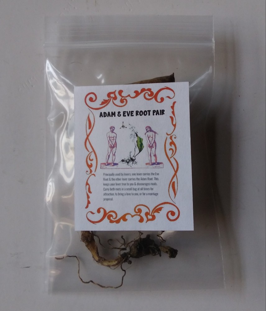 Authentic Adam And Eve Root Pair