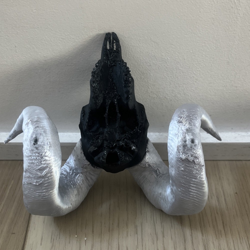 Ram Skull Replica with Curled Gray Horns Decorative Skull