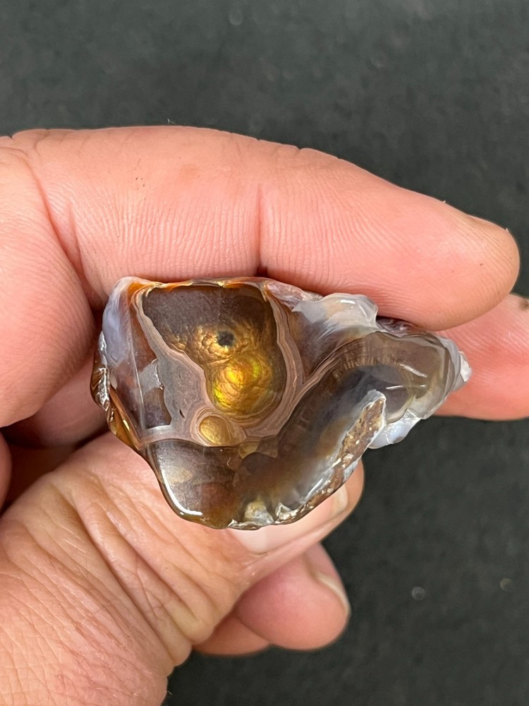 Fire Agate Polished Display
