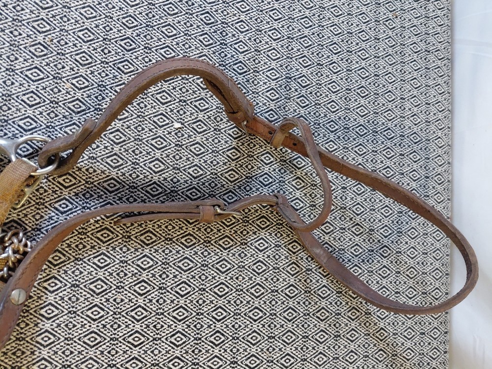 Circle Y Browband Leather Headstall With Bit