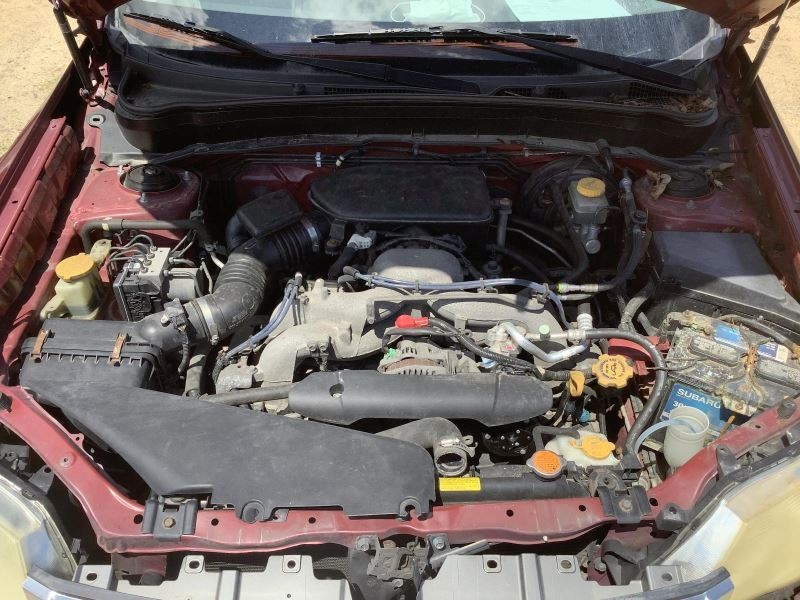 Trunk/Hatch/Tailgate Without Spoiler Fits 09-13 FORESTER 3415536