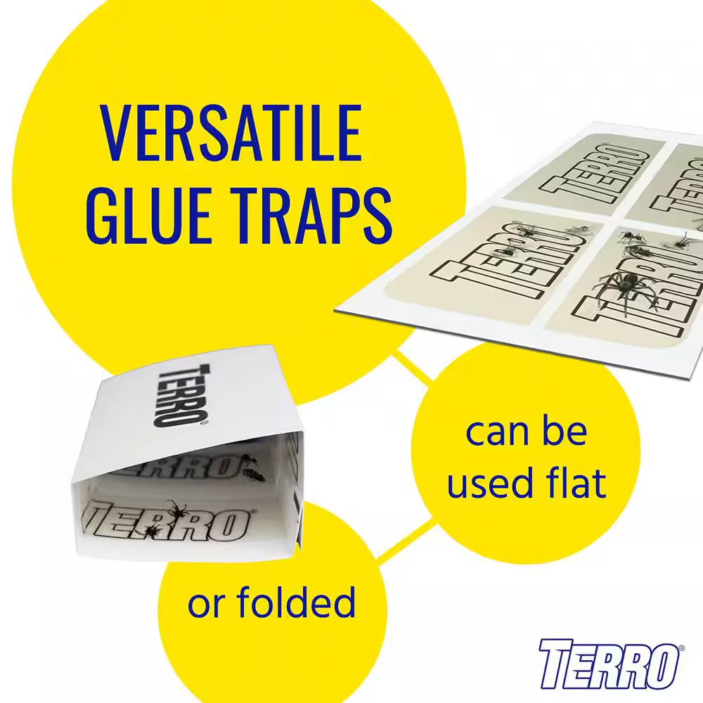 Non-Toxic Spider and Insect Trap (16-Count, 4-Pack)