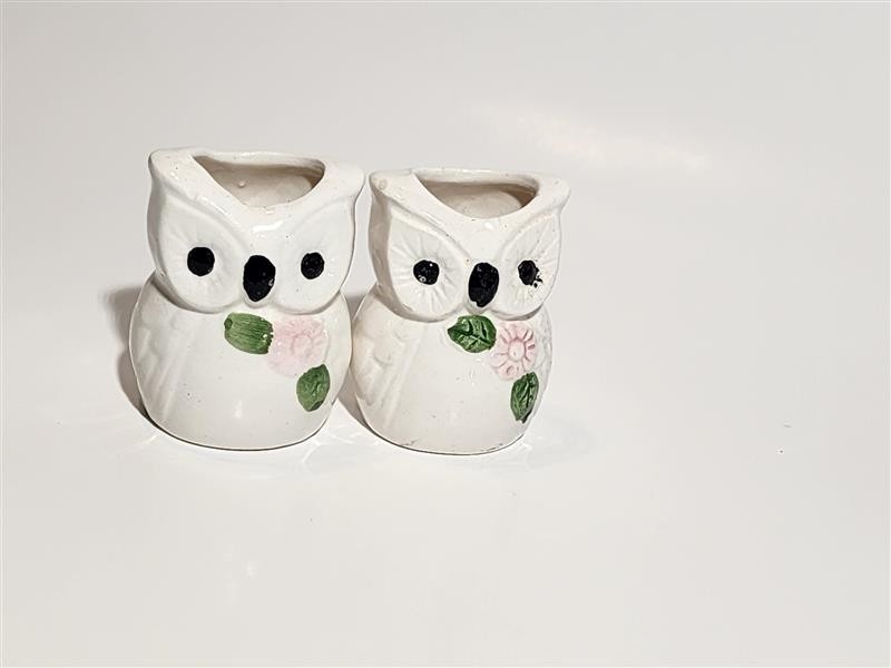 Vintage Owl Tooth Pick Holder