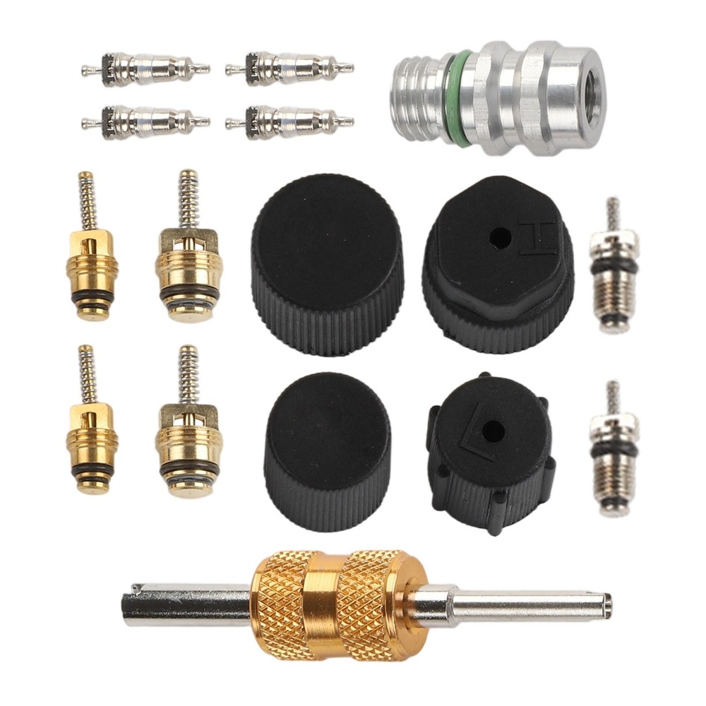 Complete AC Valve Core Kit for R12 For R134a Systems with Installation Tools