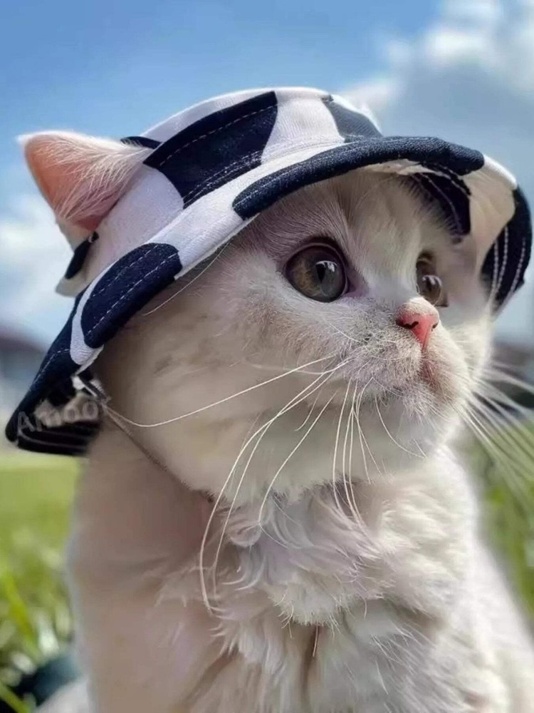 Pet Bucket Hat