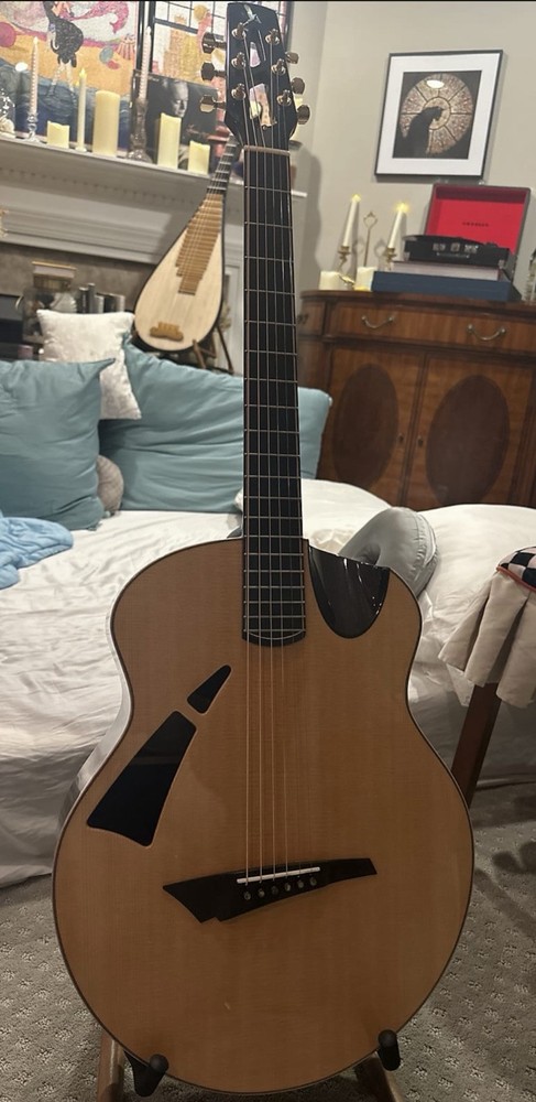 Avian guitar 4A