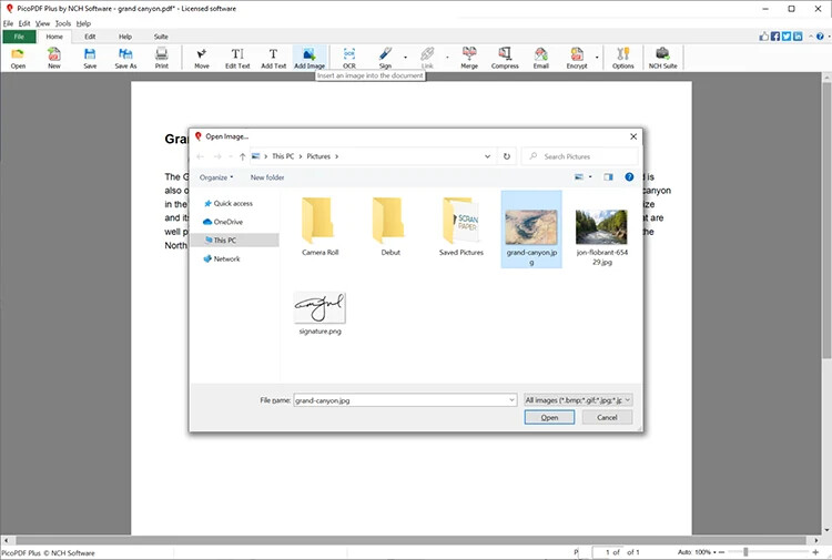 PicoPDF NCH Software , Edit PDF Home Edition