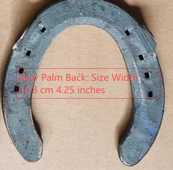 Small Lucky Horseshoe Cast Iron Rustic Decor 4.5 x 4.5 inch Cast stom Work