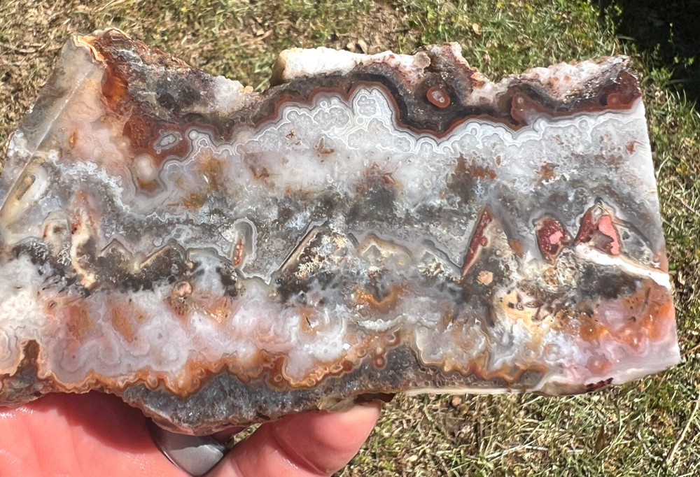 Mexican Crazy Lace Agate Slabs - 215g