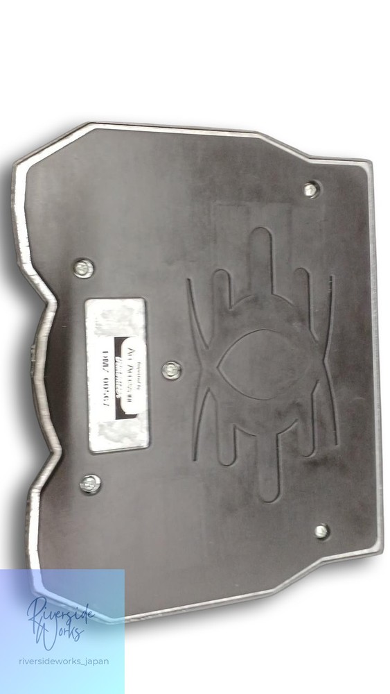 DAMAGE CONTROL DEMONIZER Tube Preamp Effects Pedal JP