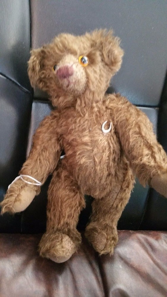 Bear named Winston by Knickerbocker Bears 12" Good Luck Bear