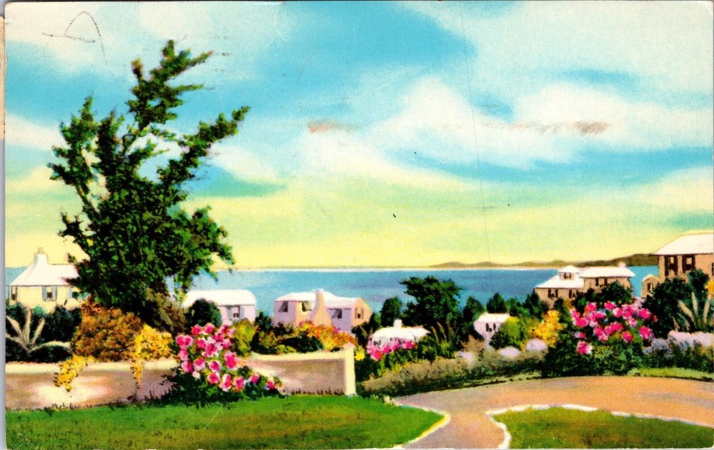 Bermuda 1959 - Hamilton - PPC - J8455