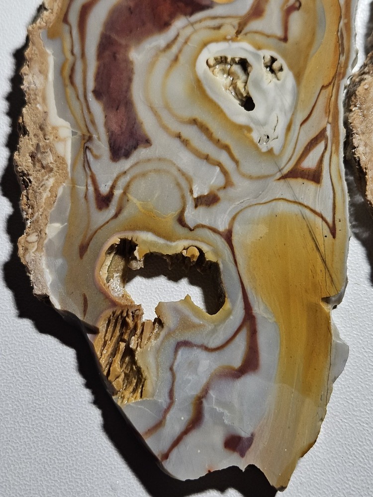 Rhyolite Two Lapidary Slabs 105 Grams
