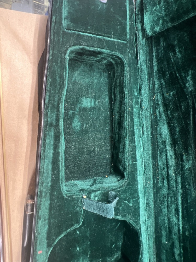 Parrot | Art No. 19 | Violin With Case
