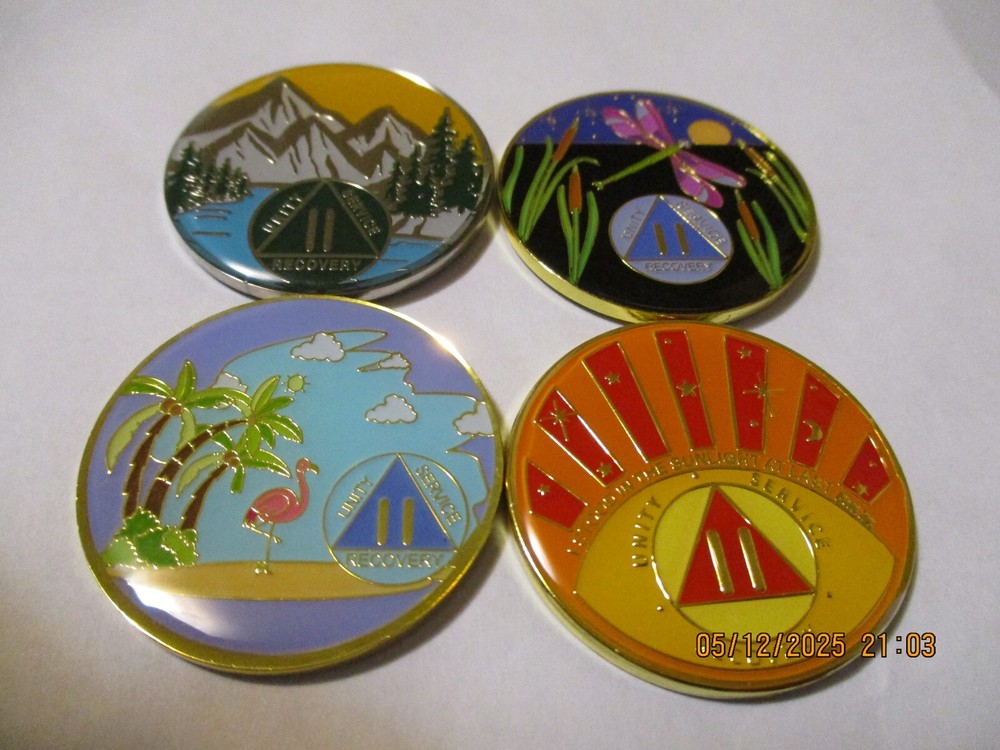 Coin Pink Butterfly Into Action Tri-plate 12 Step Programs