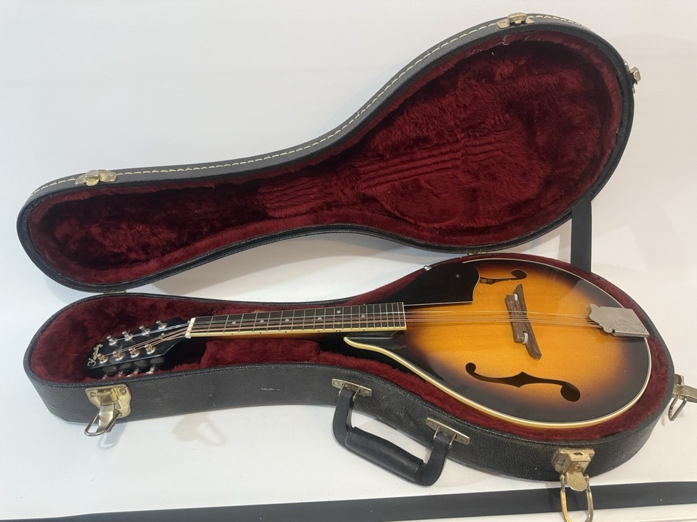 Kentucky KM-150S Mandolin Sunburst with soft case