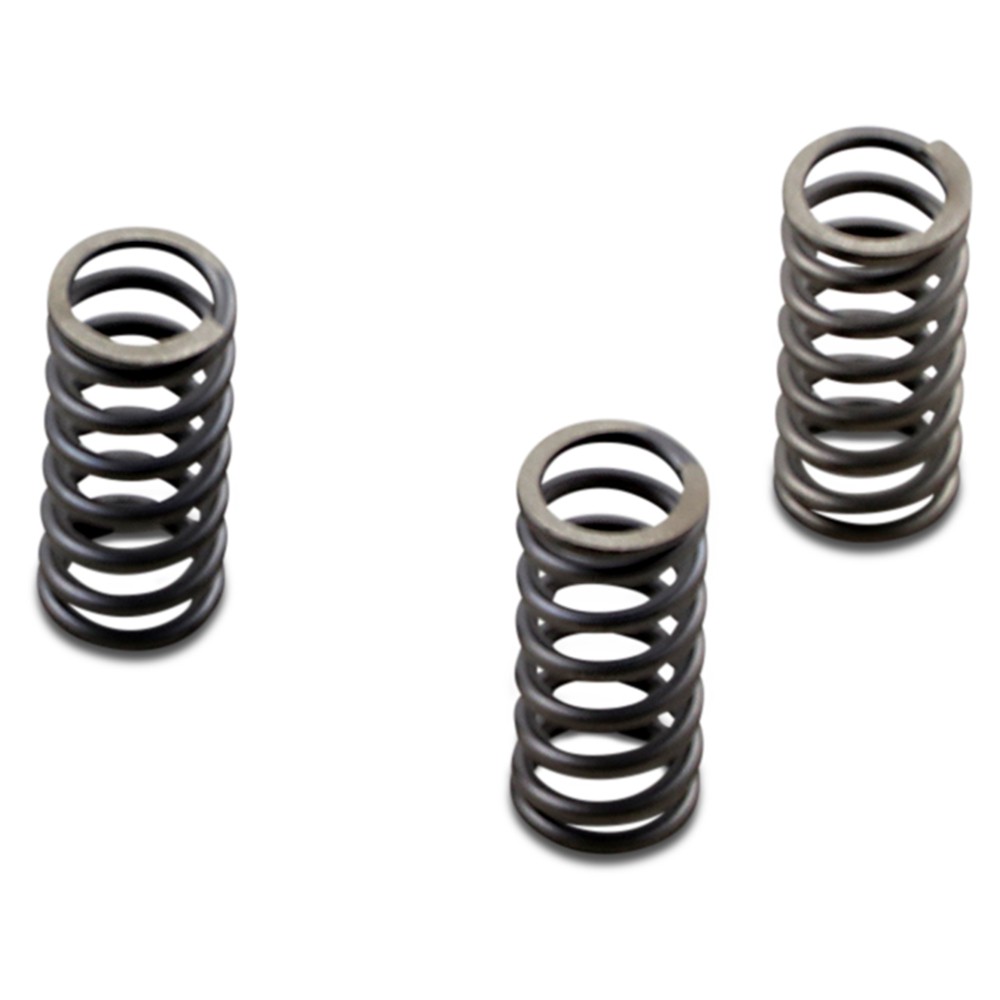 EBC CSK Clutch Spring Kit - CSK236