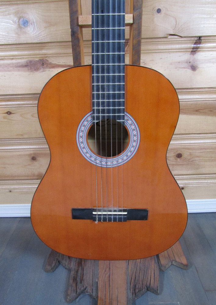 Eleca Acoustic 6 String Guitar Model C0-10