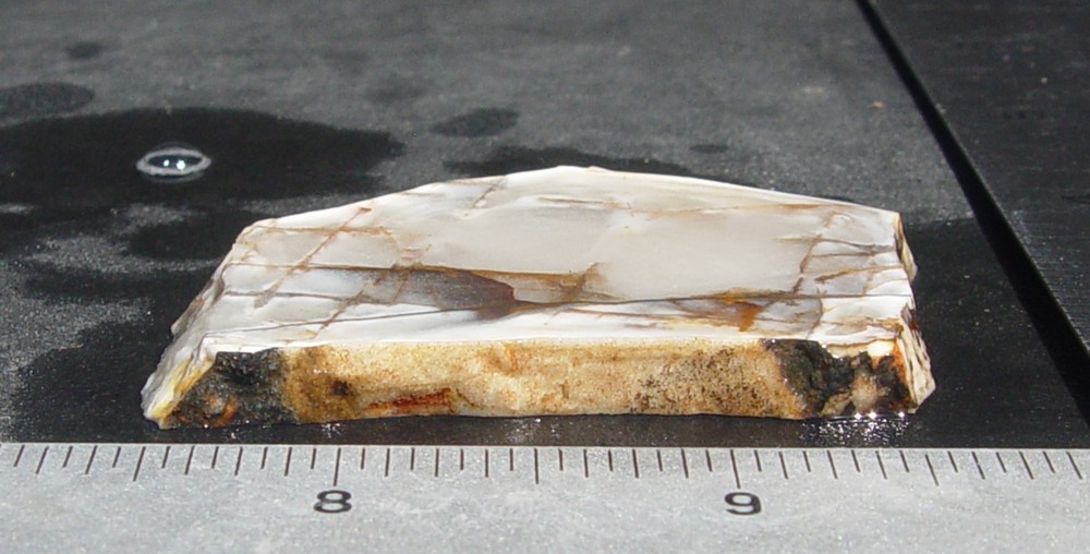 Autumn Jasper Lapidary Slab T1281